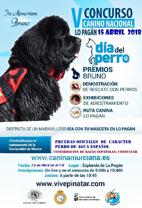 llamada Sudamerica Disciplina Día del Perro en Lo Pagán - EDUKA-DOG